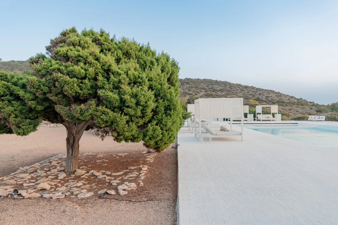 1685638362- Prospectors Luxury real estate Ibiza to rent villa Eden spain property rental pool garden exclusive outside.webp